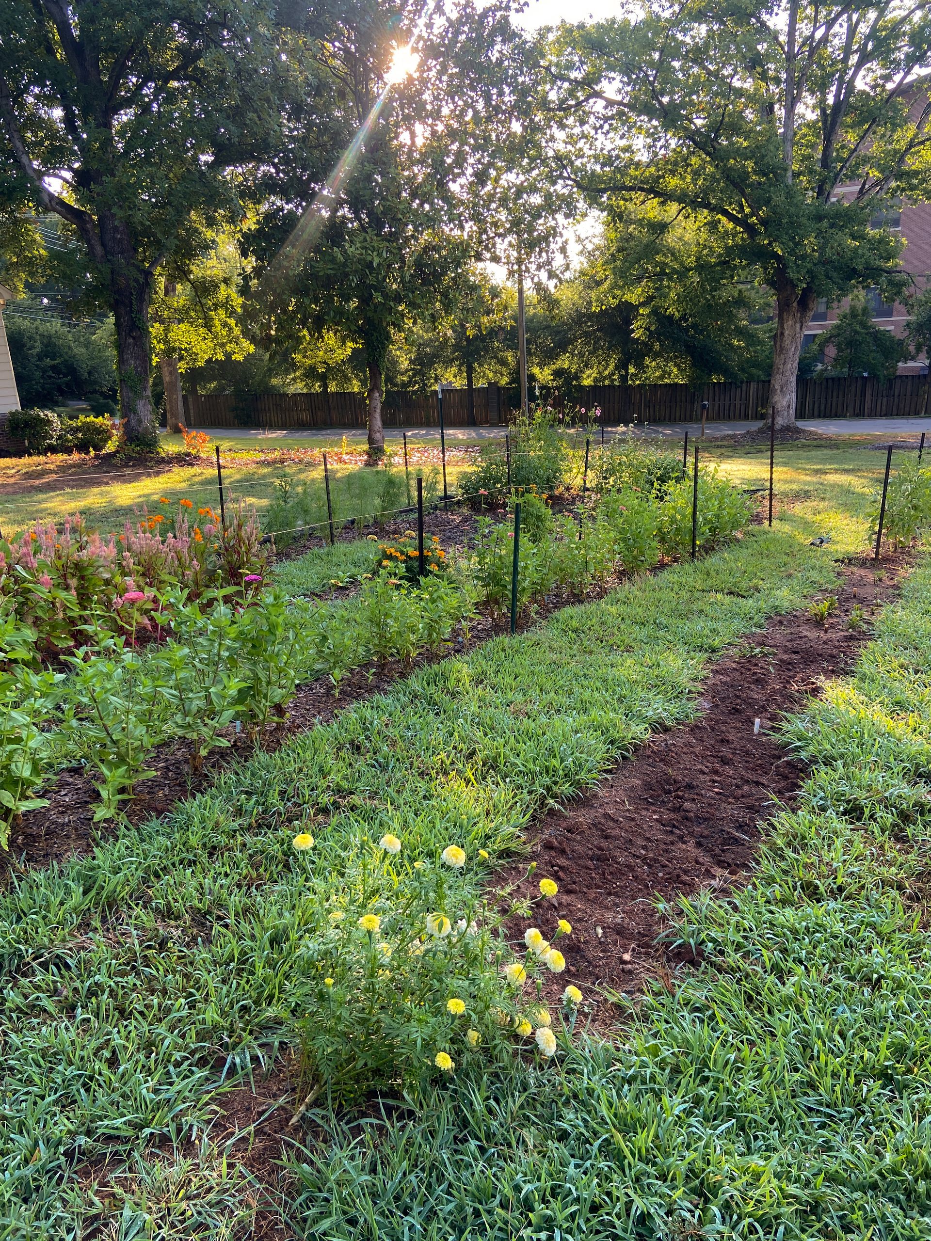 Our flower garden